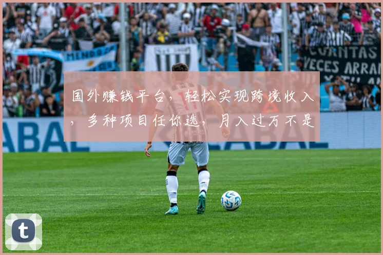 国外赚钱平台，轻松实现跨境收入，多种项目任你选，月入过万不是梦，推荐必看