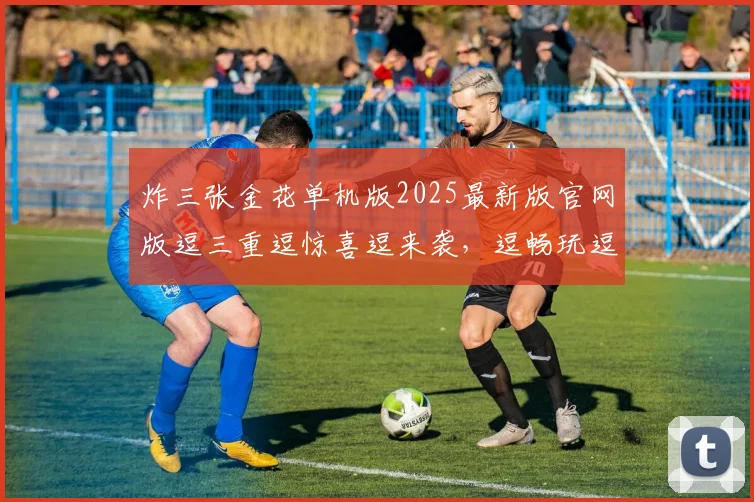 炸三张金花单机版2025最新版官网版逗三重逗惊喜逗来袭，逗畅玩逗无极限逗