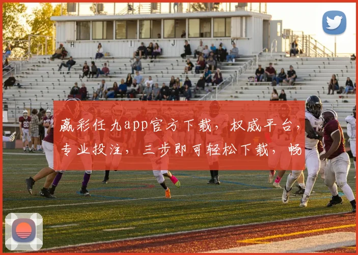 赢彩任九app官方下载，权威平台，专业投注，三步即可轻松下载，畅享精彩赛事