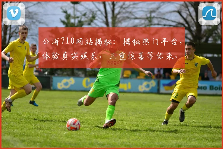 公海710网站揭秘：揭秘热门平台，体验真实娱乐，三重惊喜等你来，不容错过