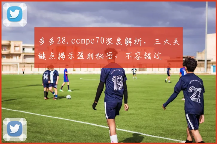 多多28.ccmpc70深度解析，三大关键点揭示盈利秘密，不容错过